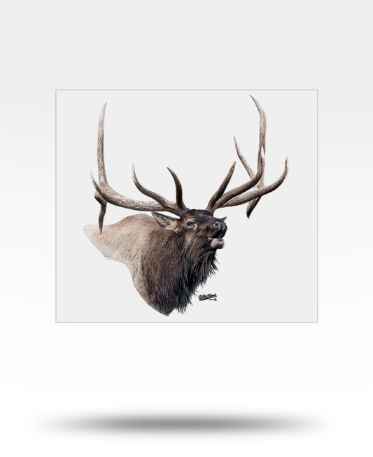Bull Elk Large Transparent Sticker