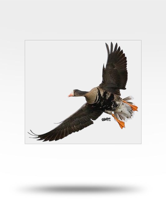 Specklebelly Goose Large Transparent Sticker