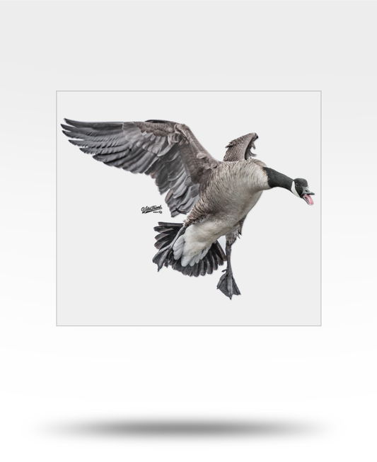 Canadian Goose Large Transparent Sticker