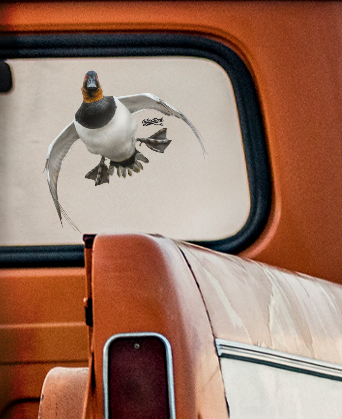 Canvasback Flying Large Transparent Sticker