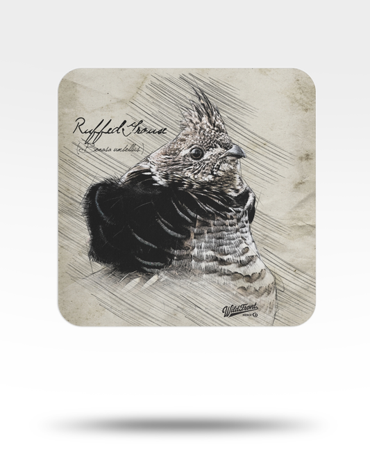 Ruffed Grouse Drawing Bulk Coasters