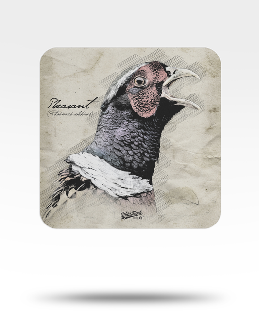 Pheasant Drawing Bulk Coasters