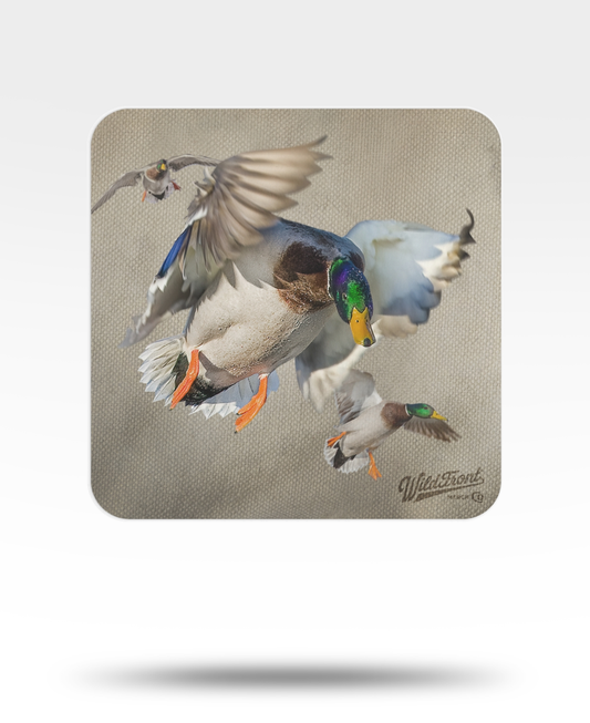 Mallards Flying Bulk Coasters