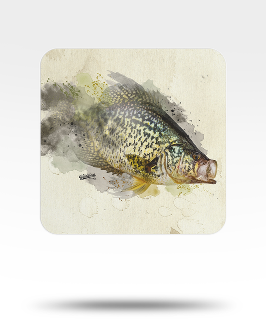 Crappie Watercolor Bulk Coasters
