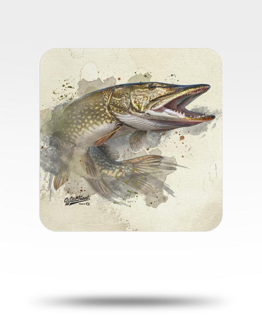 Northern Pike Watercolor Bulk Coasters