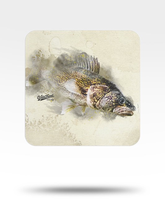 Walleye Watercolor Bulk Coasters