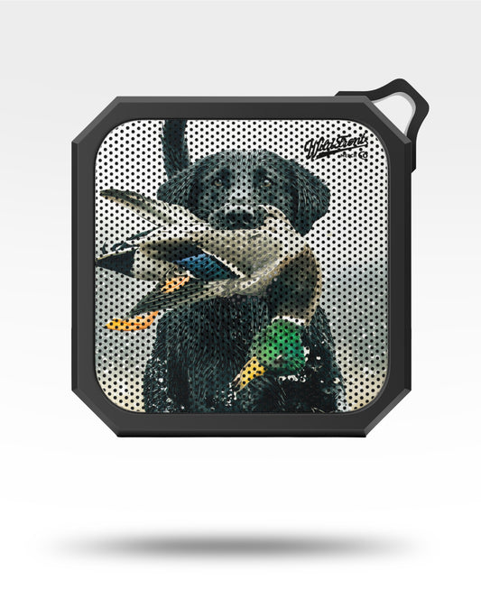 Black Lab With Mallard Outdoor Bluetooth Speaker