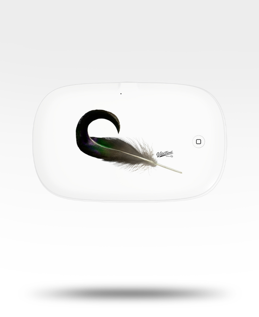 Mallard Curl UV Phone Sanitizer and Wireless Charging Pad