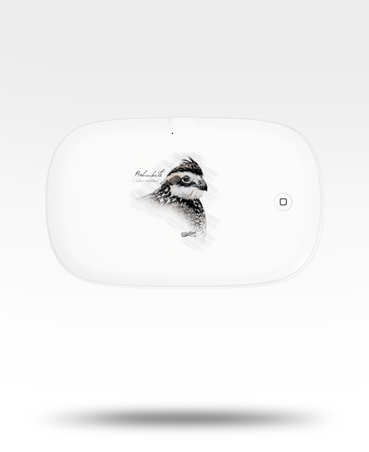 Bobwhite Quail Drawing UV Phone Sanitizer and Wireless Charging Pad