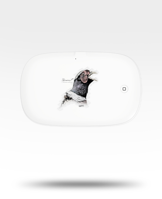 Pheasant Drawing UV Phone Sanitizer and Wireless Charging Pad