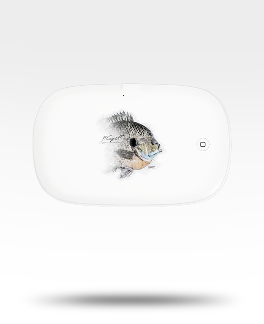 Bluegill Drawing UV Phone Sanitizer and Wireless Charging Pad