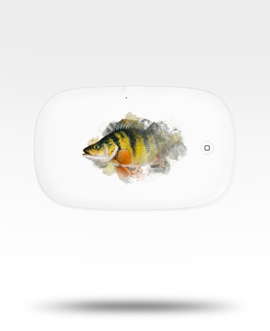 Perch Watercolor UV Phone Sanitizer and Wireless Charging Pad