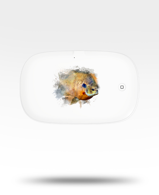 Bluegill Watercolor UV Phone Sanitizer and Wireless Charging Pad