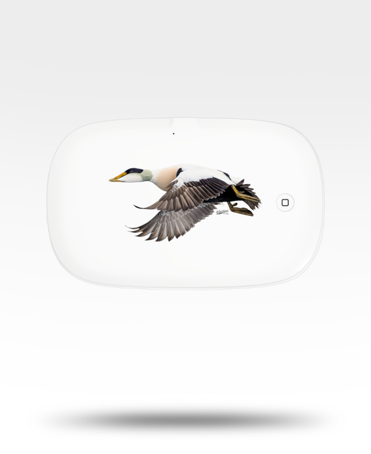 Common Eider UV Phone Sanitizer and Wireless Charging Pad