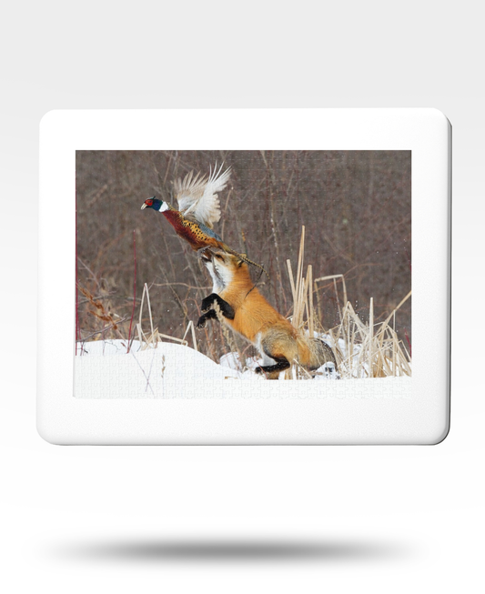 Fox & Pheasant Jigsaw Puzzle with Tin (1000 Piece)