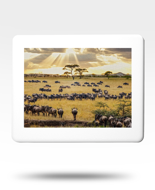 Wildebeast Herd Jigsaw Puzzle with Tin (2000 Piece)