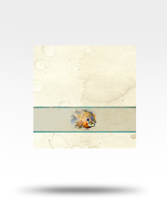 Bluegill watercolor Face Towel