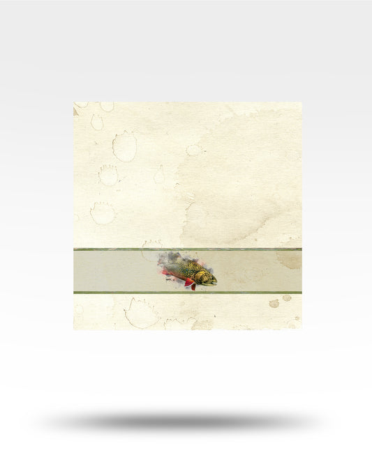 Book Trout Watercolor Face Towel