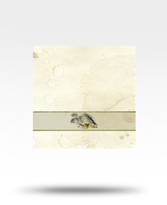 Crappie Watercolor Face Towel
