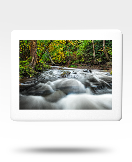 Rushing Rapids Jigsaw Puzzle with Tin - (2000 Piece)