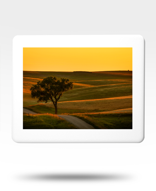 Amber Sunset Jigsaw Puzzle with Tin - (2000 Piece)