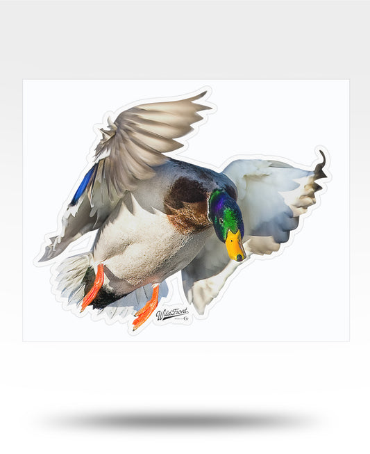 Mallard Flying Kiss-Cut Vinyl Decal