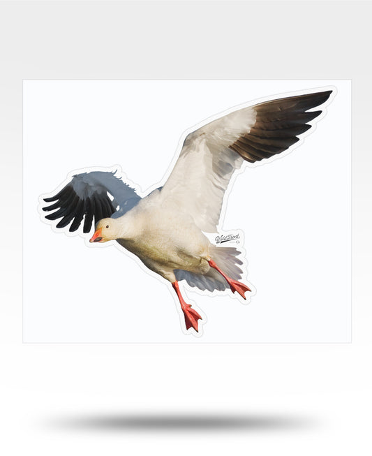 Snow Goose Flying Kiss-Cut Vinyl Decal