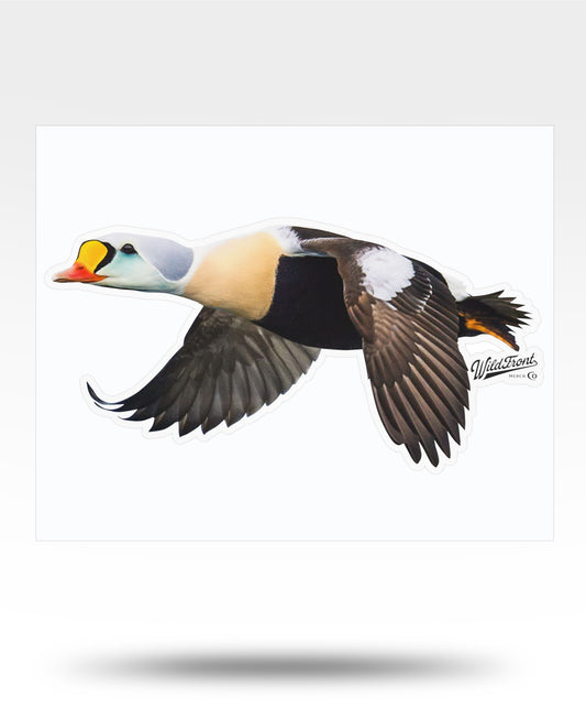 King Eider Solo Kiss-Cut Vinyl Decal