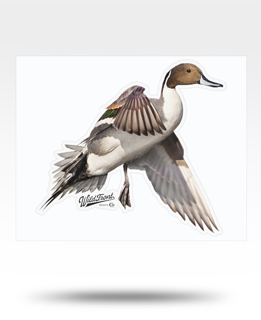 Pintail Duck Kiss-Cut Vinyl Decal