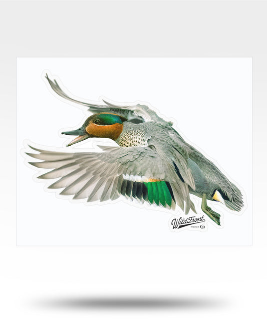 Green-Winged Teal Kiss-Cut Vinyl Decal