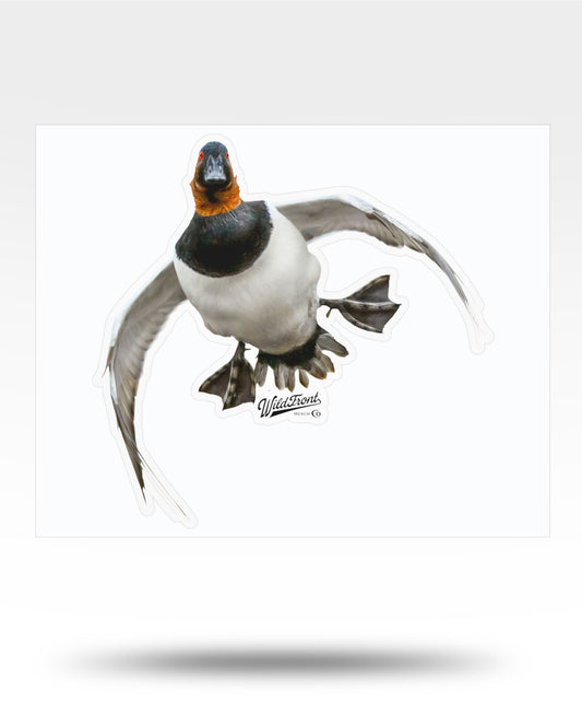 Canvasback Cupped Kiss-Cut Vinyl Decal