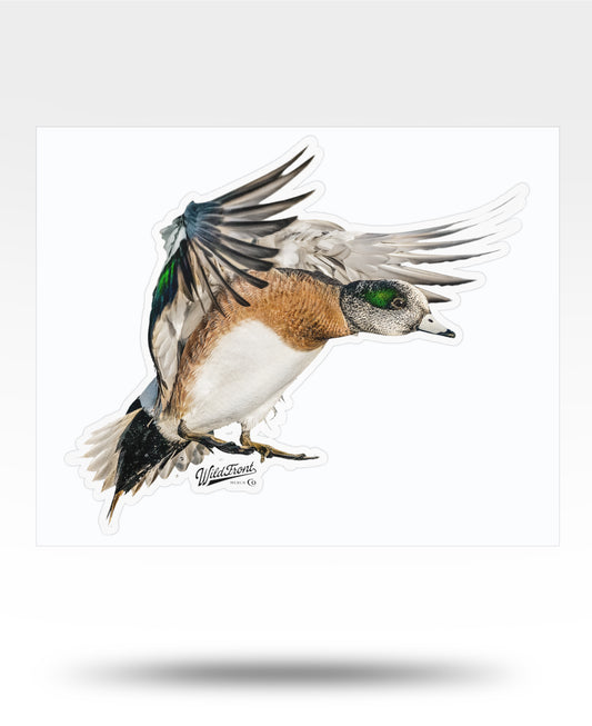 Widgeon Kiss-Cut Vinyl Decal