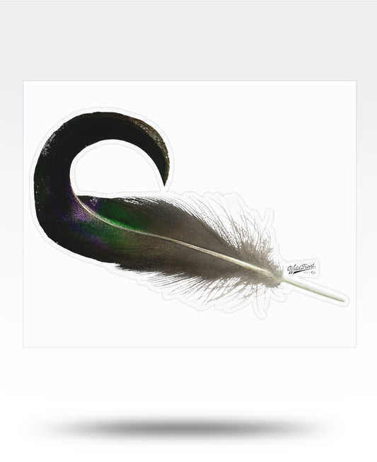Mallard Curl Kiss-Cut Vinyl Decal