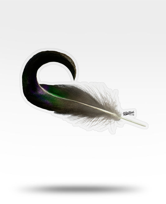 Mallard Curl Transparent Outdoor Die-Cut Sticker