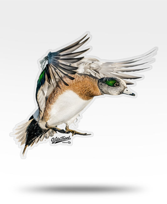 Widgeon Transparent Outdoor Die-Cut Sticker