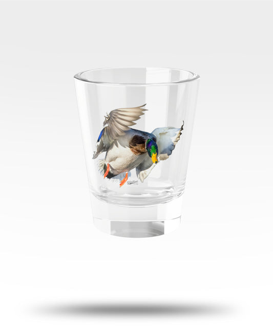 Mallard  Shot Glass
