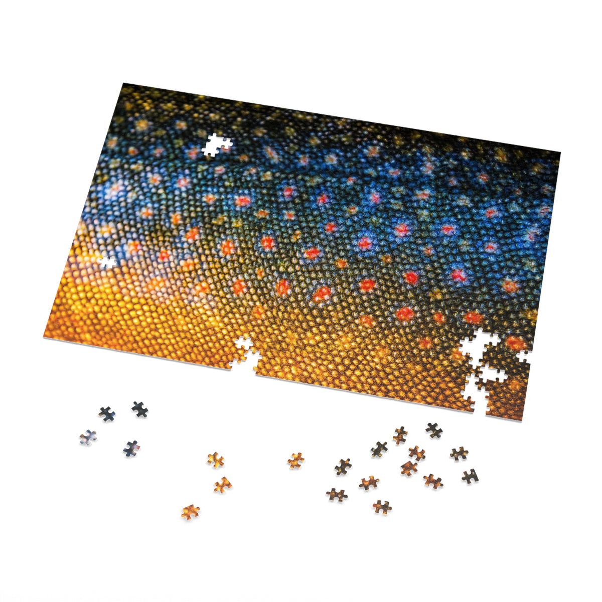 Brook Trout Jigsaw Puzzle with Tin (1000 Piece)